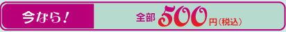 今なら！全部500円（税込）